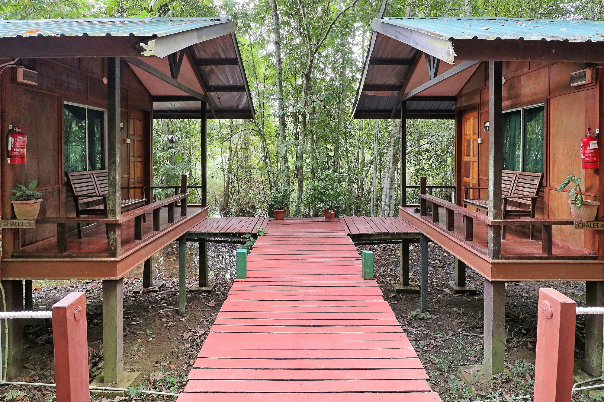 Tanini Kinabatangan Formerly Known As Nature Lodge Kinabatangan Bilit Exterior foto